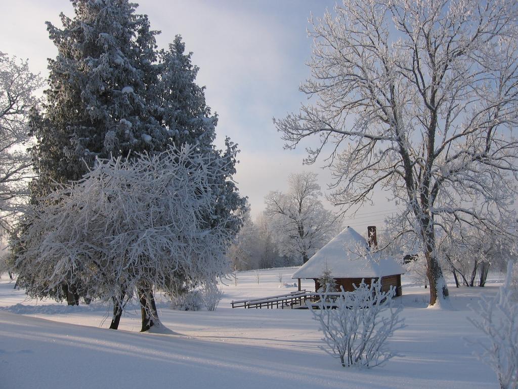 Jaunbrenguli Villa Raiskums Стая снимка
